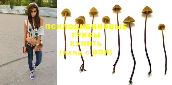 ГАЛЛЮЦИНОГЕННЫЕ ГРИБЫ Абдулино