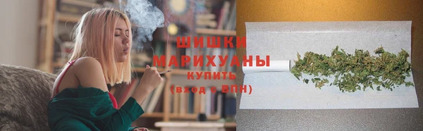 ГАЛЛЮЦИНОГЕННЫЕ ГРИБЫ Абаза