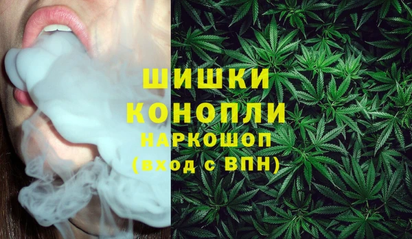ГАЛЛЮЦИНОГЕННЫЕ ГРИБЫ Абаза