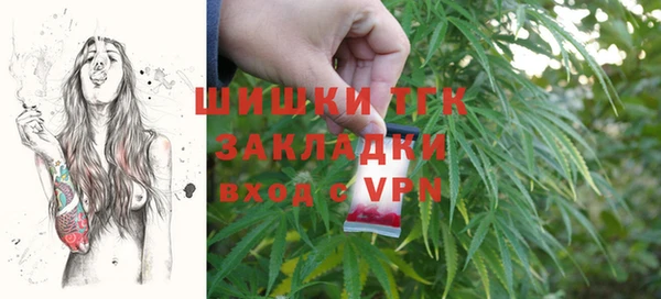 ГАЛЛЮЦИНОГЕННЫЕ ГРИБЫ Абаза